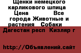 Щенки немецкого карликового шпица › Цена ­ 20 000 - Все города Животные и растения » Собаки   . Дагестан респ.,Кизляр г.